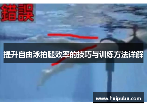 提升自由泳拍腿效率的技巧与训练方法详解