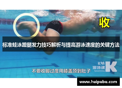 标准蛙泳蹬腿发力技巧解析与提高游泳速度的关键方法
