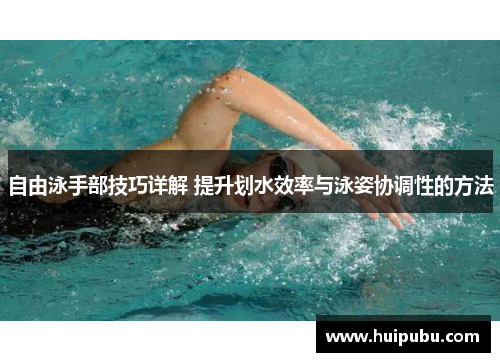 自由泳手部技巧详解 提升划水效率与泳姿协调性的方法
