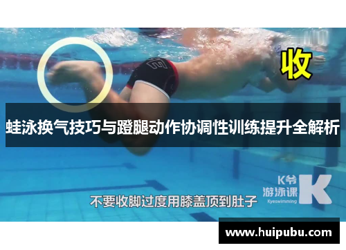 蛙泳换气技巧与蹬腿动作协调性训练提升全解析