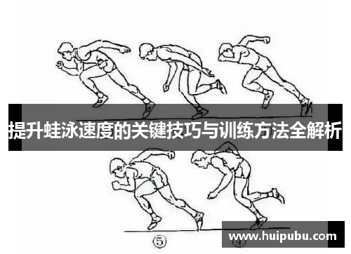 提升蛙泳速度的关键技巧与训练方法全解析